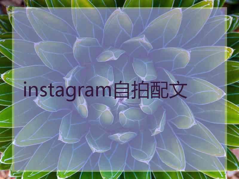 instagram自拍配文