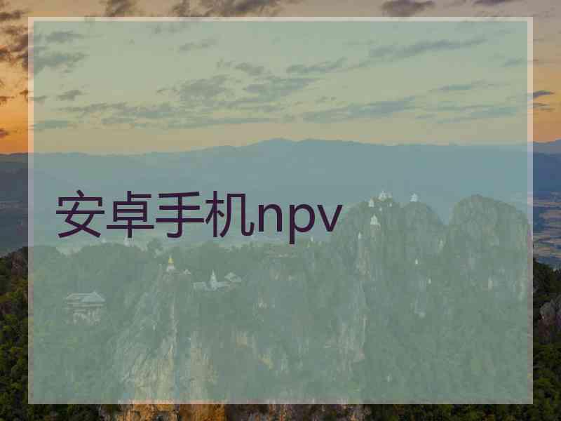 安卓手机npv