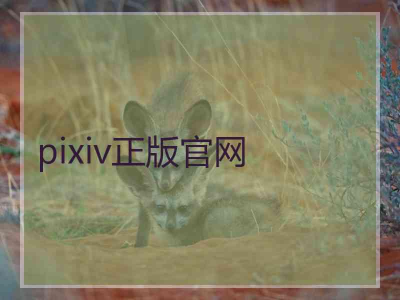 pixiv正版官网