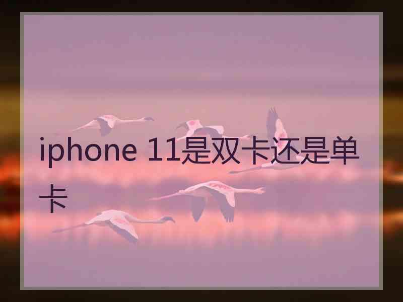 iphone 11是双卡还是单卡