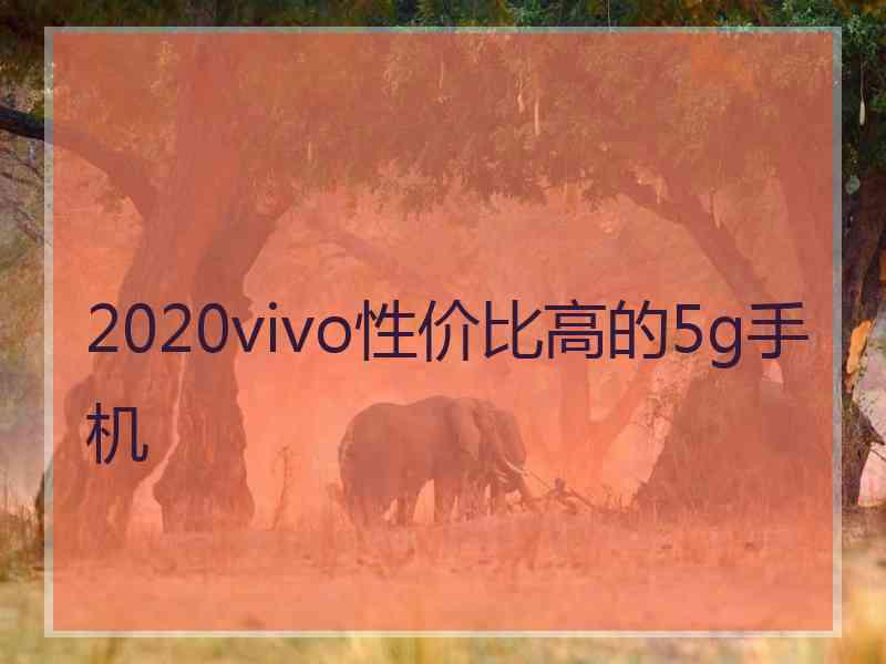 2020vivo性价比高的5g手机