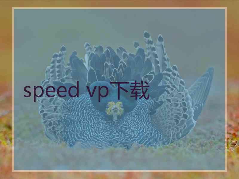 speed vp下载