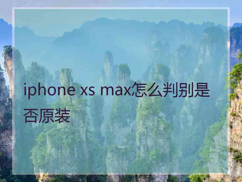 iphone xs max怎么判别是否原装