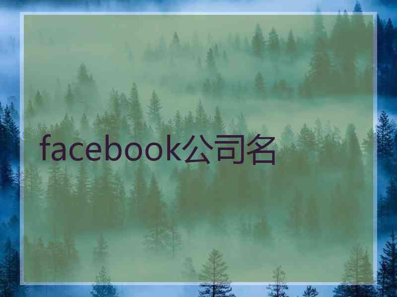 facebook公司名