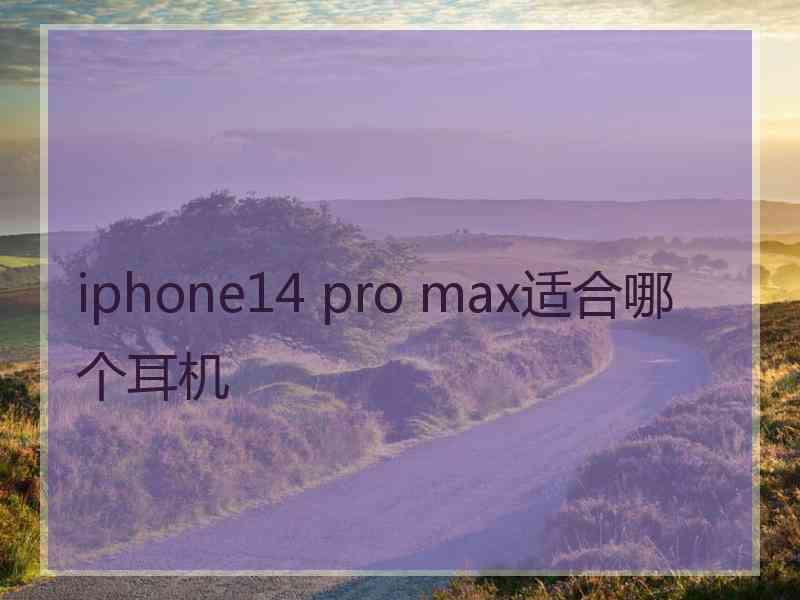 iphone14 pro max适合哪个耳机