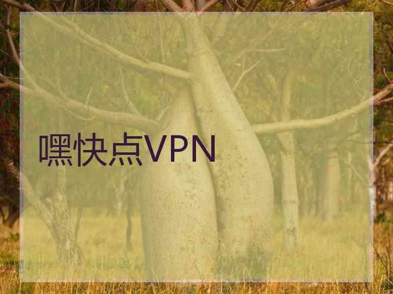 嘿快点VPN