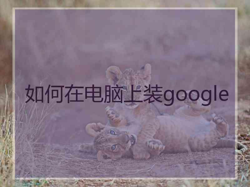 如何在电脑上装google