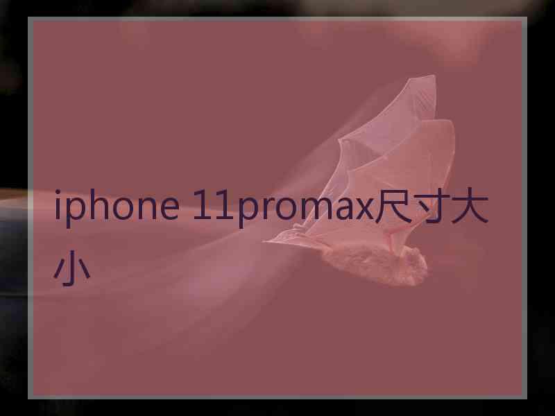 iphone 11promax尺寸大小