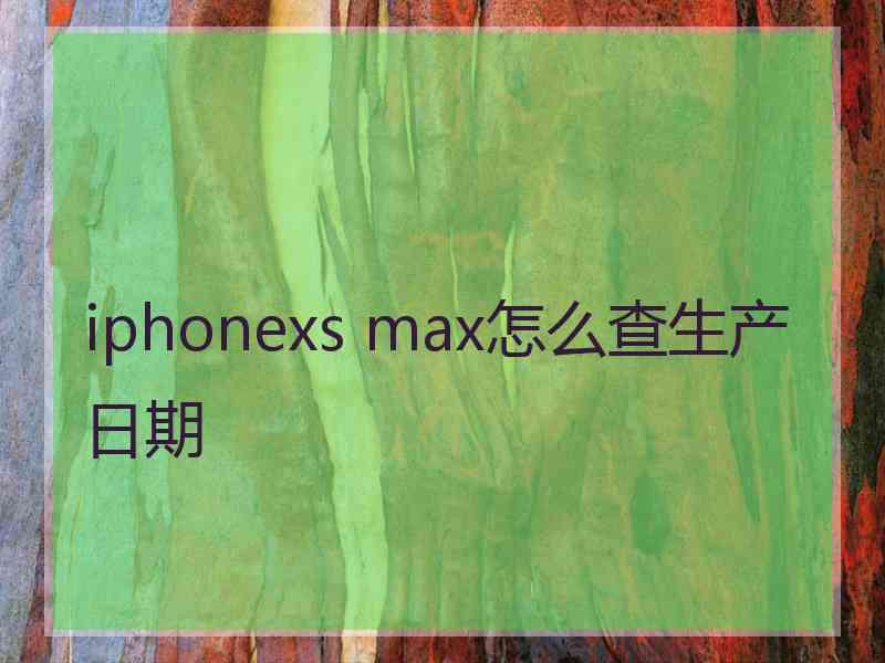 iphonexs max怎么查生产日期