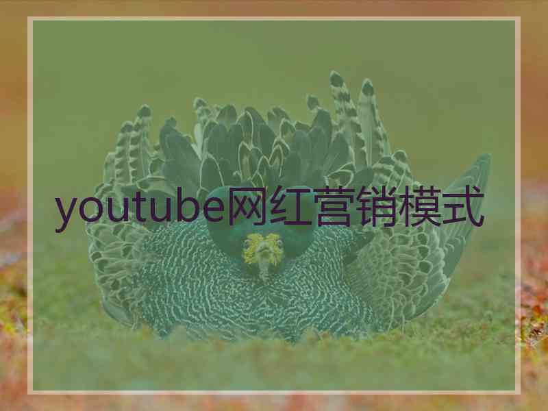 youtube网红营销模式