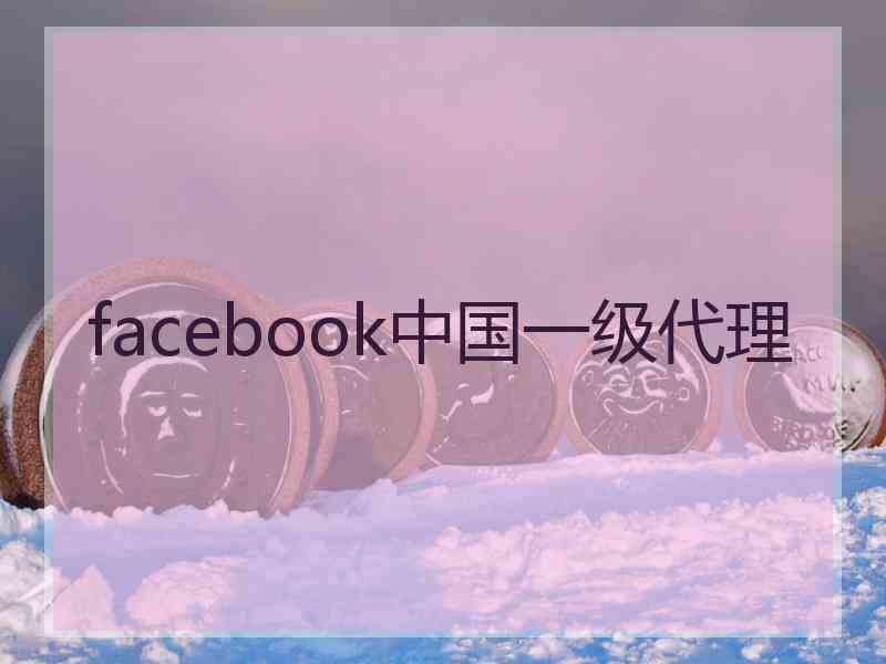 facebook中国一级代理