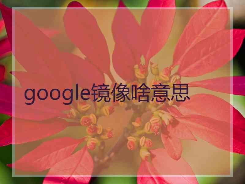 google镜像啥意思