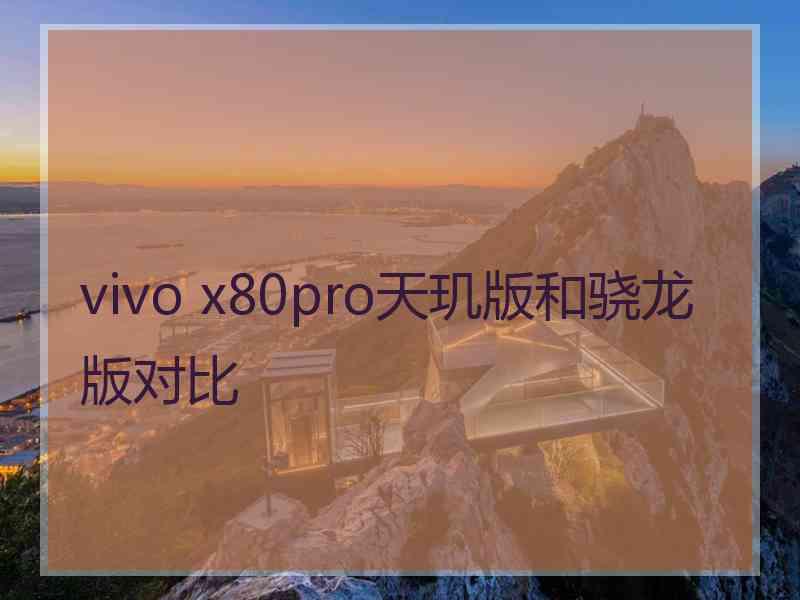 vivo x80pro天玑版和骁龙版对比