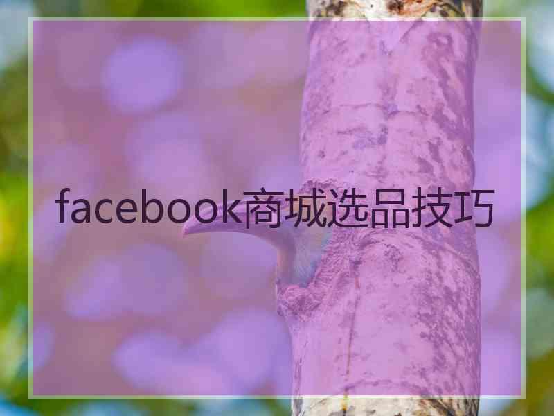 facebook商城选品技巧