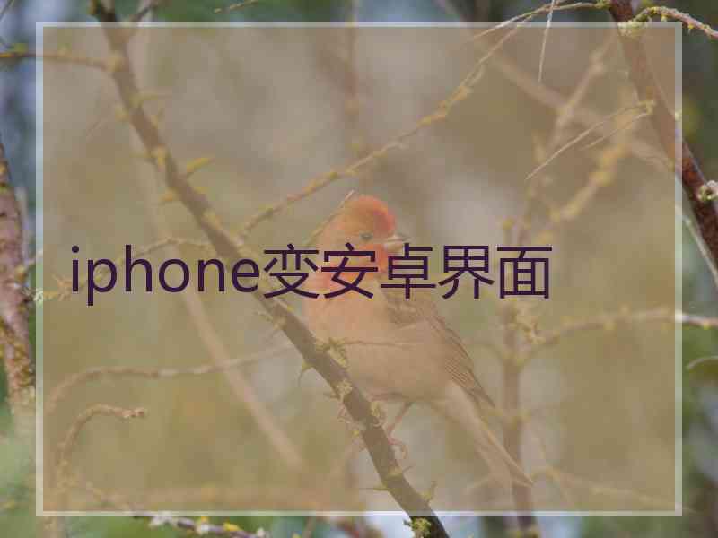 iphone变安卓界面