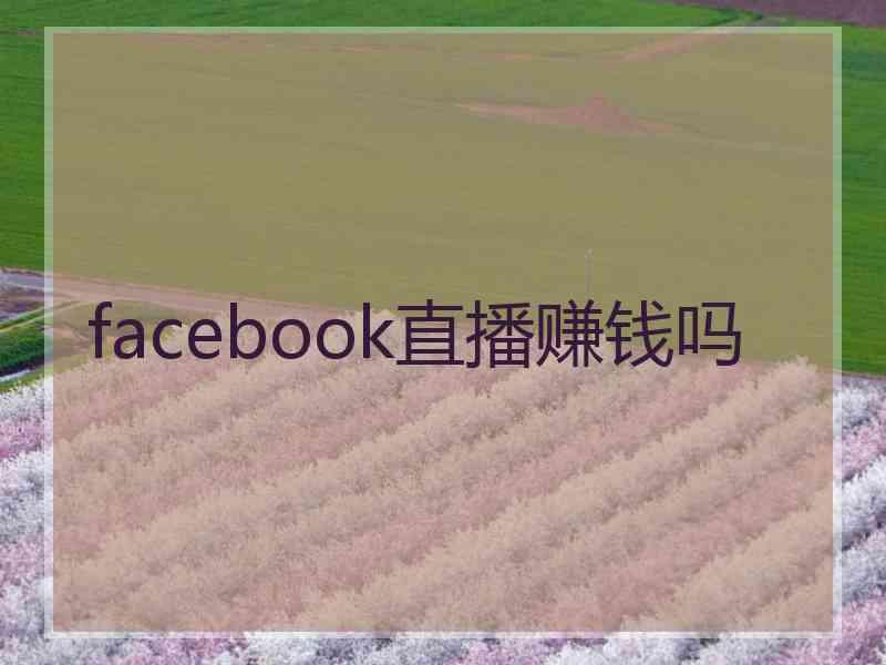 facebook直播赚钱吗