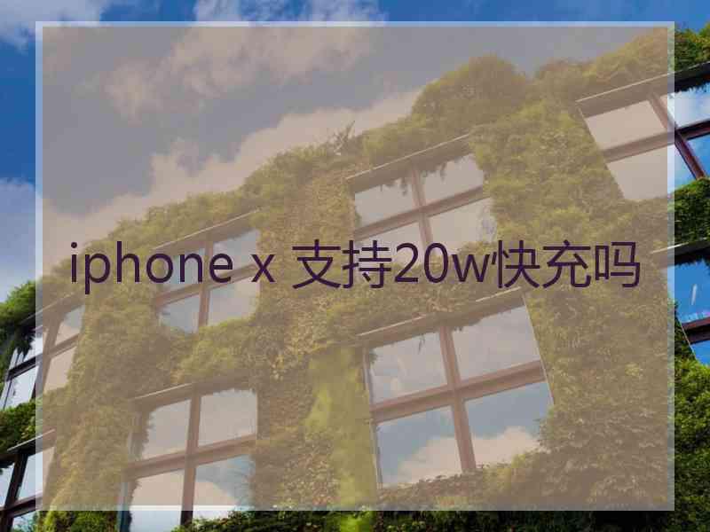 iphone x 支持20w快充吗