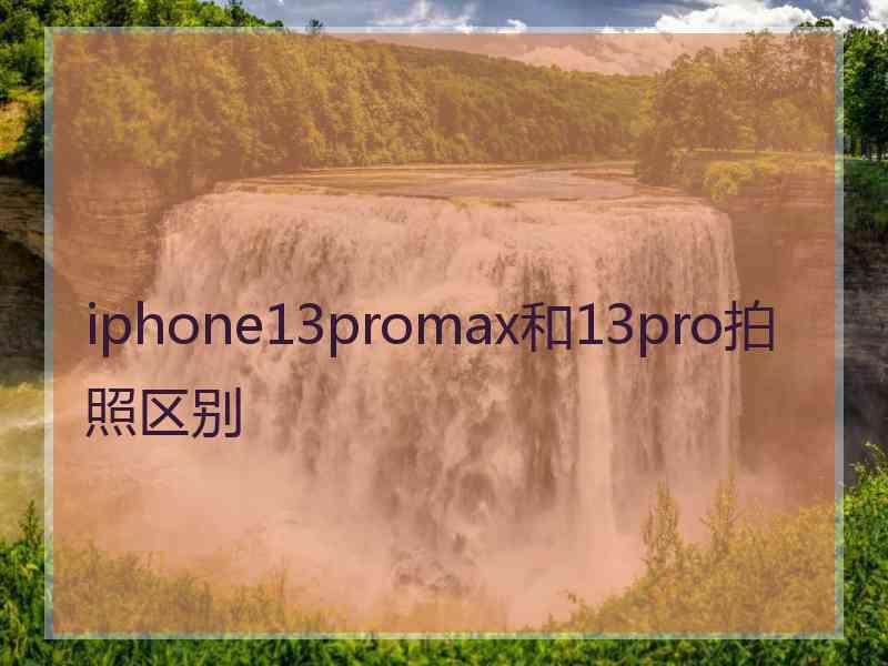 iphone13promax和13pro拍照区别