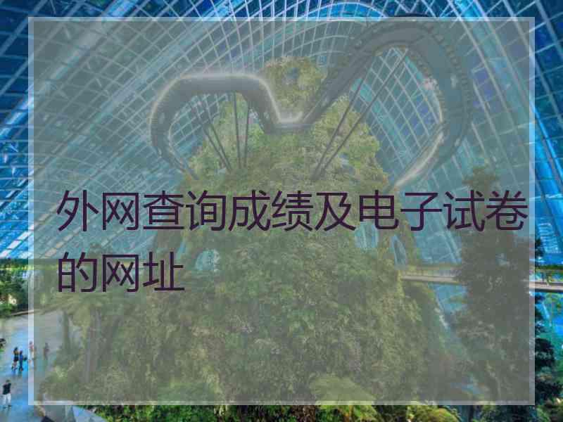 外网查询成绩及电子试卷的网址