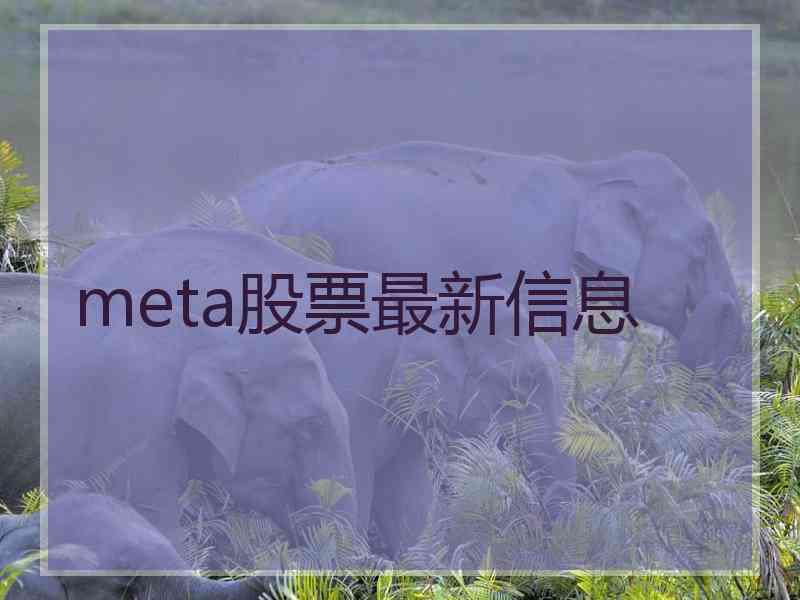 meta股票最新信息