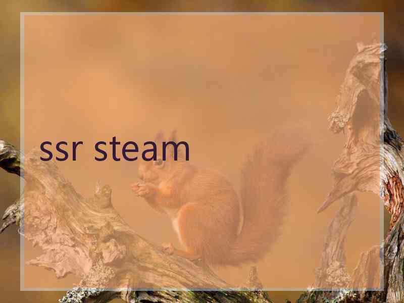 ssr steam