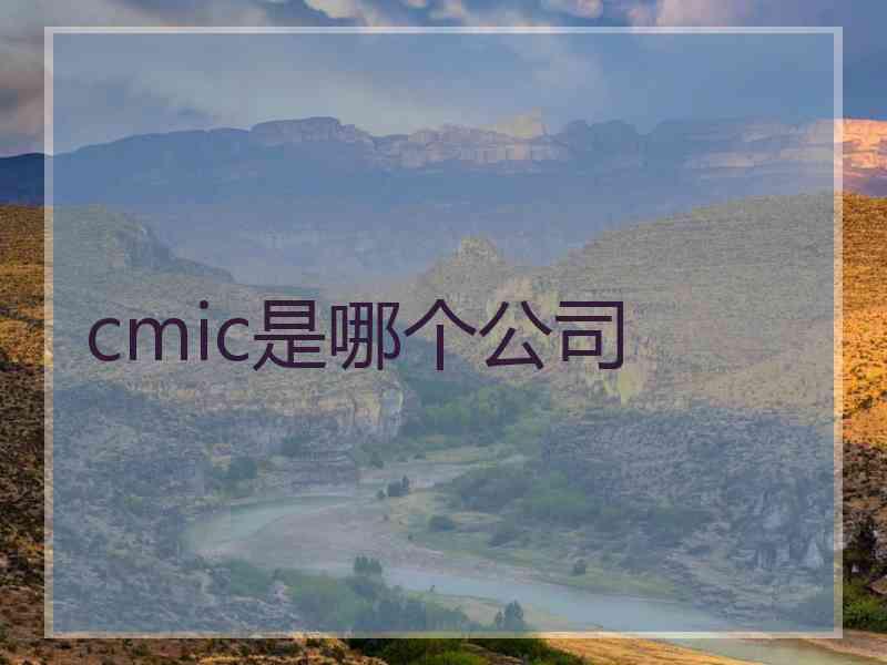 cmic是哪个公司