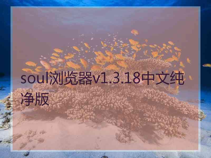 soul浏览器v1.3.18中文纯净版