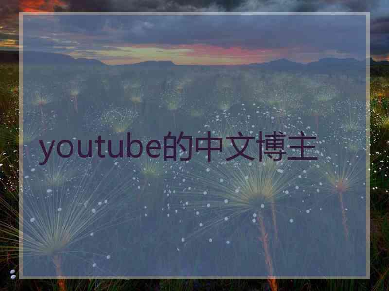 youtube的中文博主