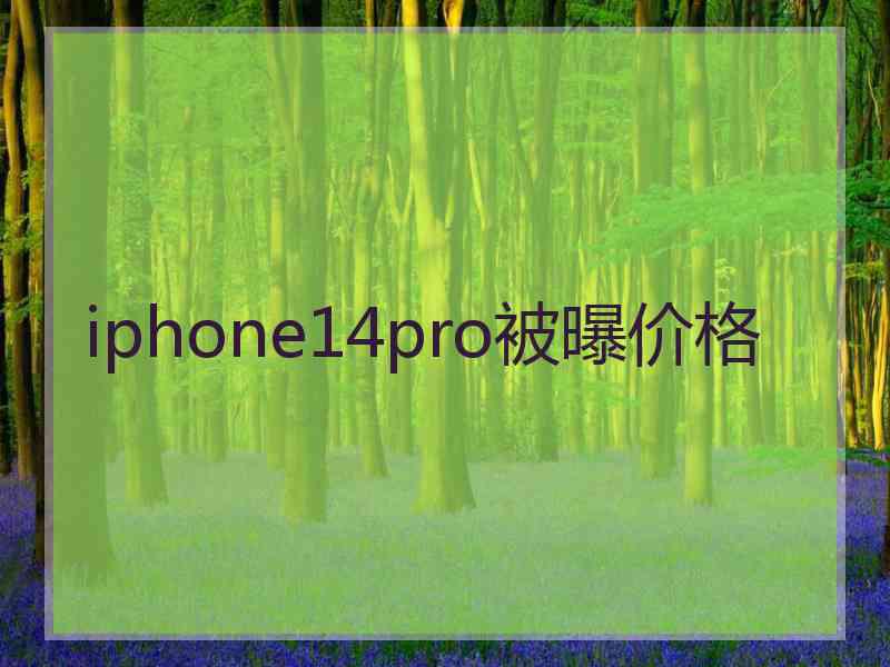 iphone14pro被曝价格