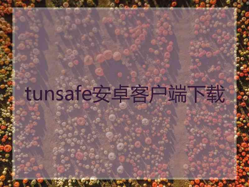 tunsafe安卓客户端下载