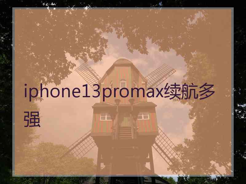 iphone13promax续航多强