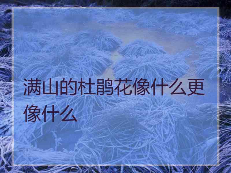 满山的杜鹃花像什么更像什么