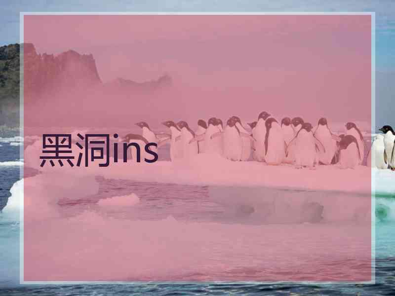 黑洞ins