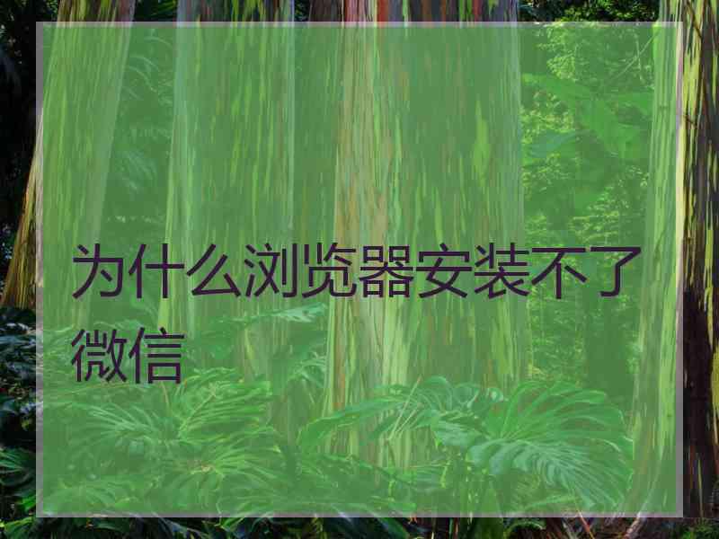 为什么浏览器安装不了微信