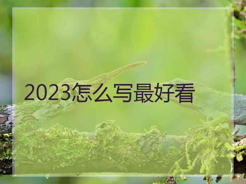 2023怎么写最好看