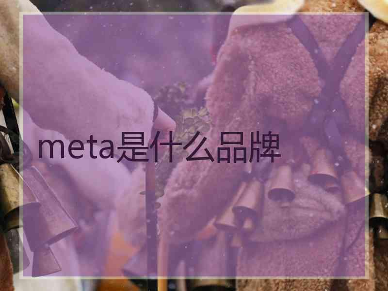 meta是什么品牌