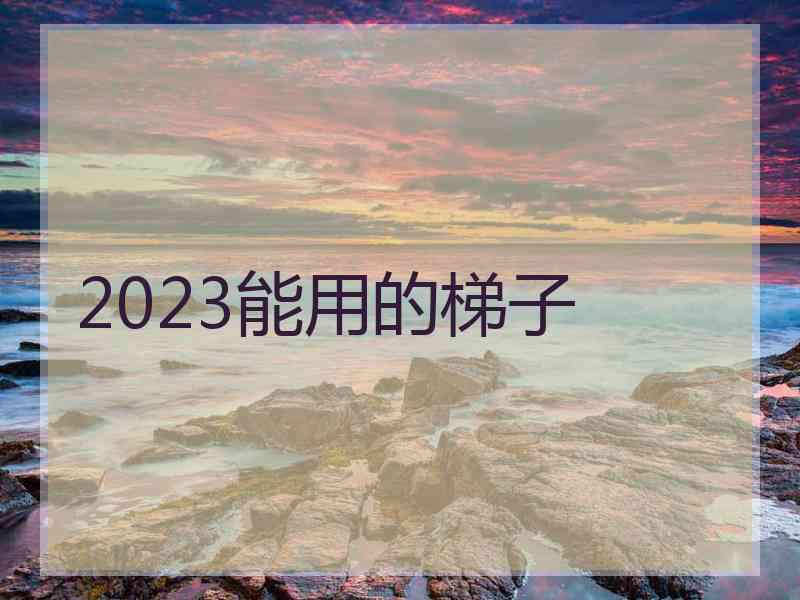 2023能用的梯子