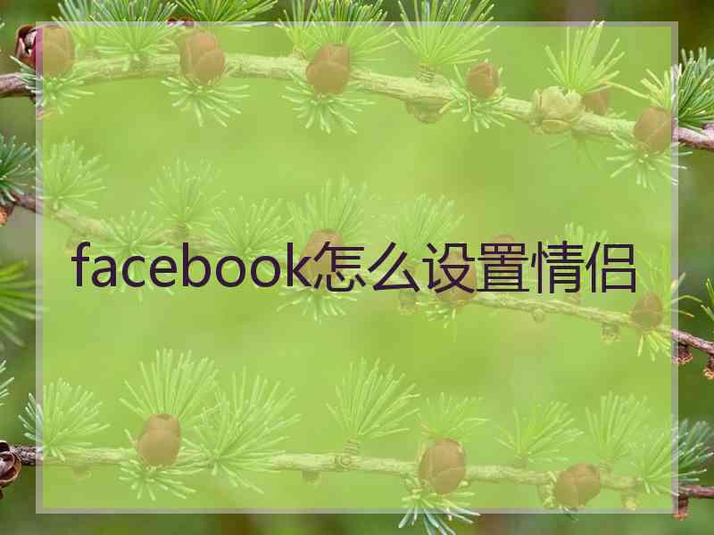 facebook怎么设置情侣