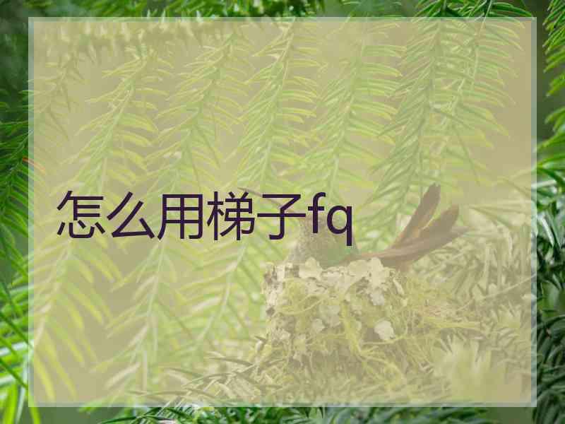 怎么用梯子fq