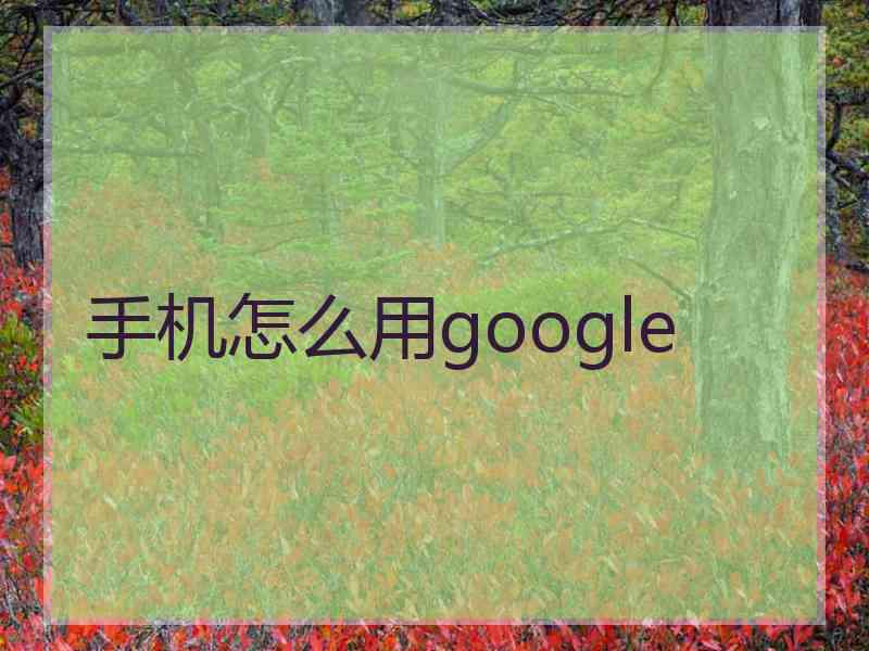 手机怎么用google