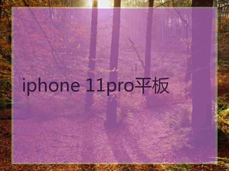 iphone 11pro平板