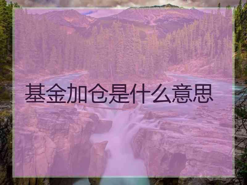 基金加仓是什么意思