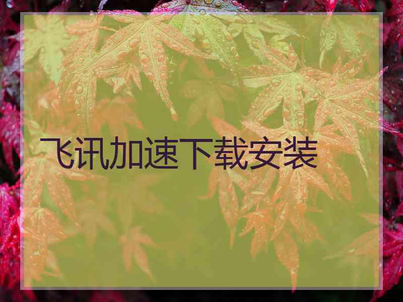 飞讯加速下载安装