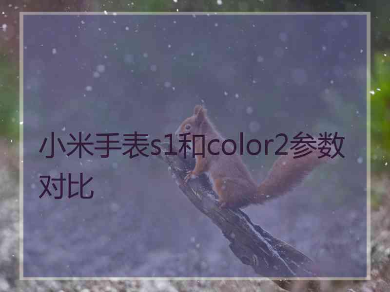 小米手表s1和color2参数对比