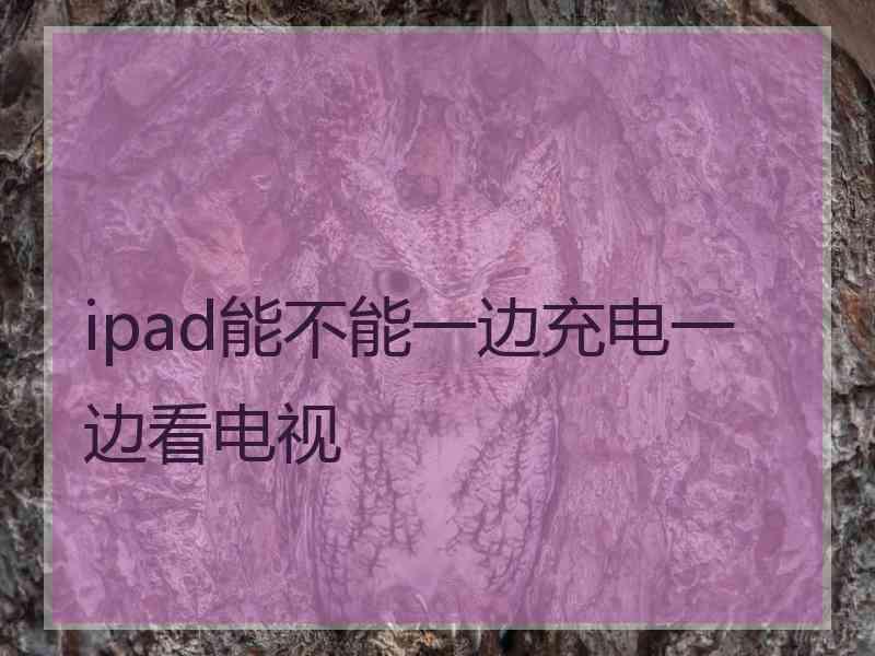 ipad能不能一边充电一边看电视