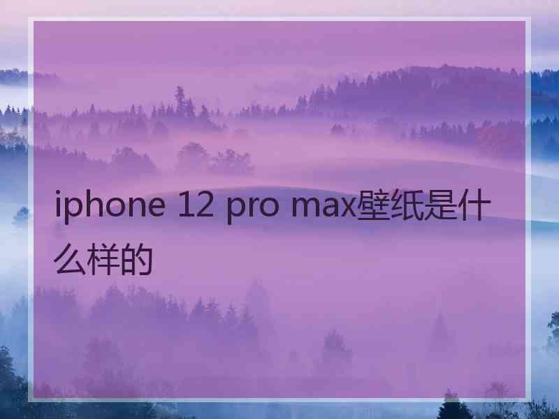 iphone 12 pro max壁纸是什么样的