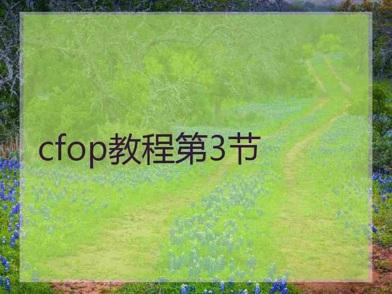 cfop教程第3节