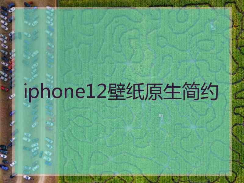 iphone12壁纸原生简约