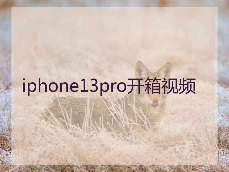 iphone13pro开箱视频