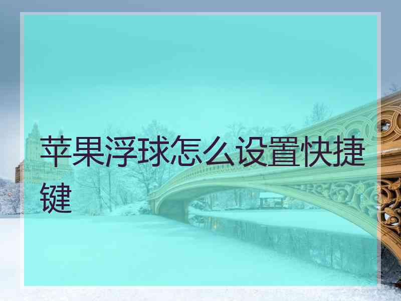 苹果浮球怎么设置快捷键